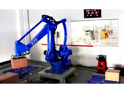 紙箱搬運碼垛機(jī)械臂